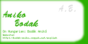 aniko bodak business card